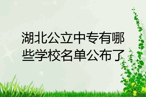 湖北公立中专有哪些学校名单公布了