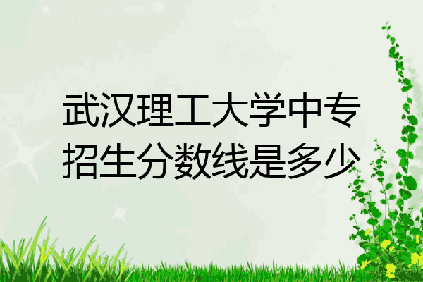 武汉理工大学中专招生分数线是多少