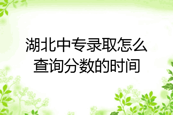 湖北中专录取怎么查询分数的时间