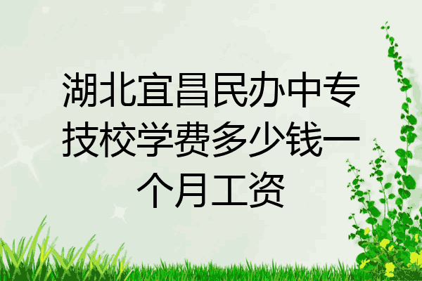 湖北宜昌民办中专技校学费多少钱一个月工资