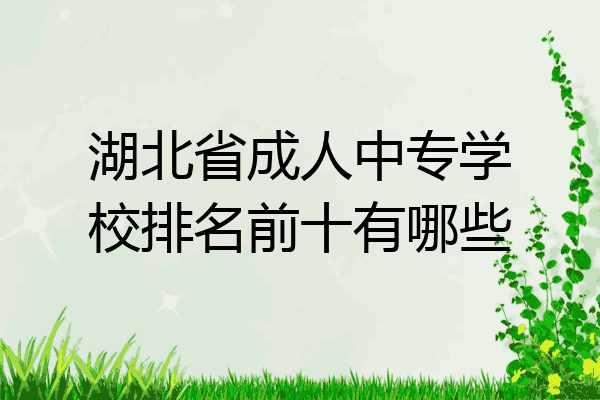 湖北省成人中专学校排名前十有哪些