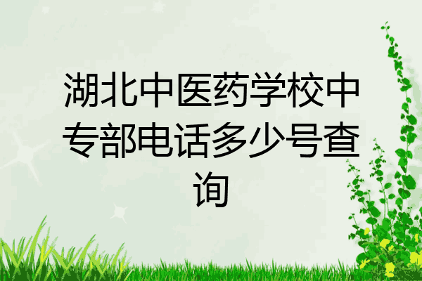 湖北中医药学校中专部电话多少号查询