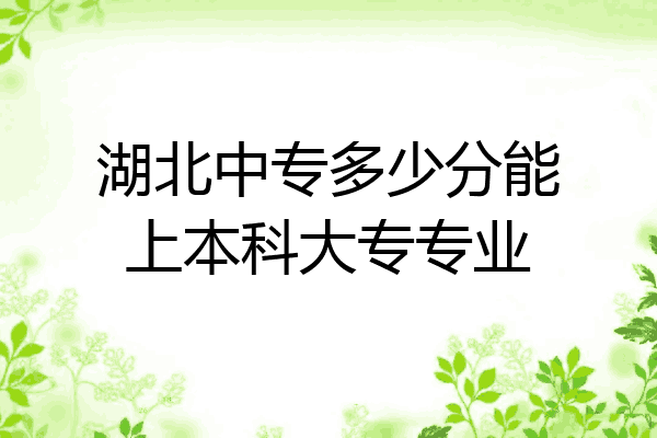 湖北中专多少分能上本科大专专业