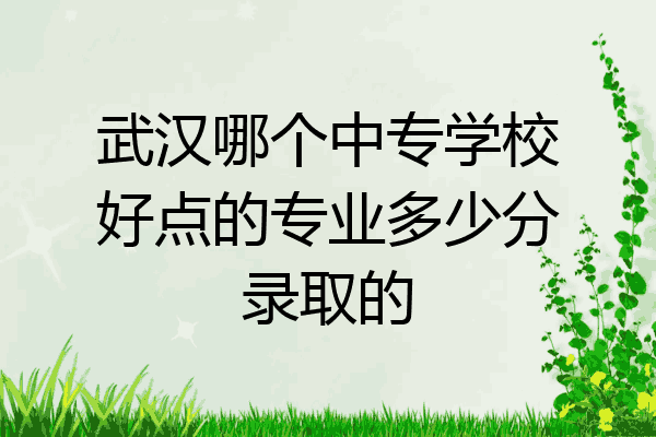 武汉哪个中专学校好点的专业多少分录取的