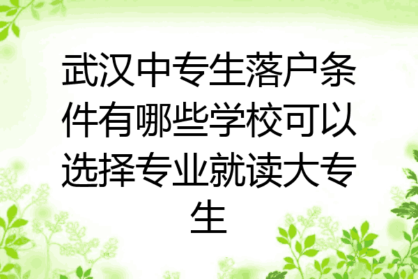 武汉中专生落户条件有哪些学校可以选择专业就读大专生