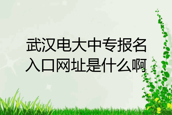 武汉电大中专报名入口网址是什么啊