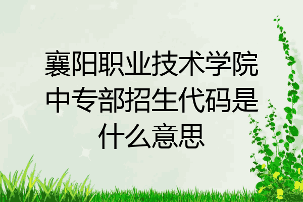 襄阳职业技术学院中专部招生代码是什么意思