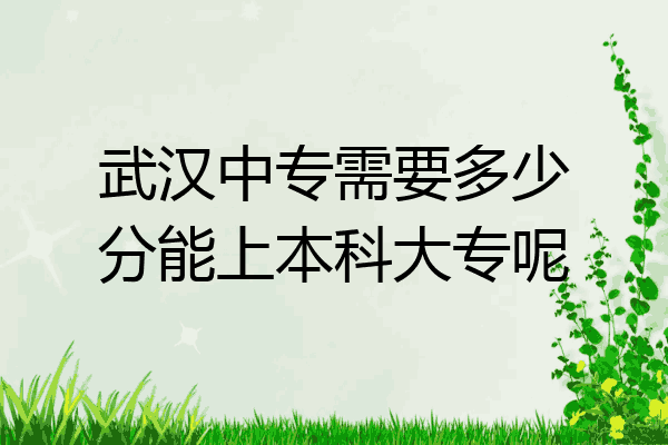 武汉中专需要多少分能上本科大专呢