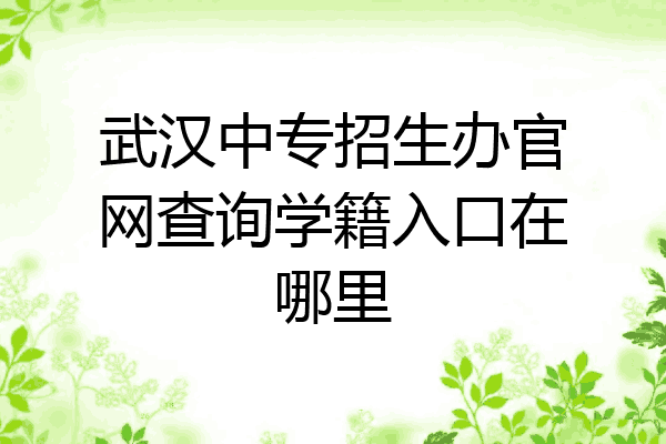 武汉中专招生办官网查询学籍入口在哪里
