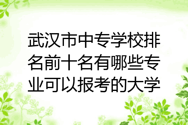 武汉市中专学校排名前十名有哪些专业可以报考的大学