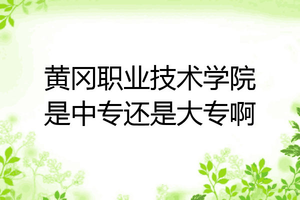 黄冈职业技术学院是中专还是大专啊