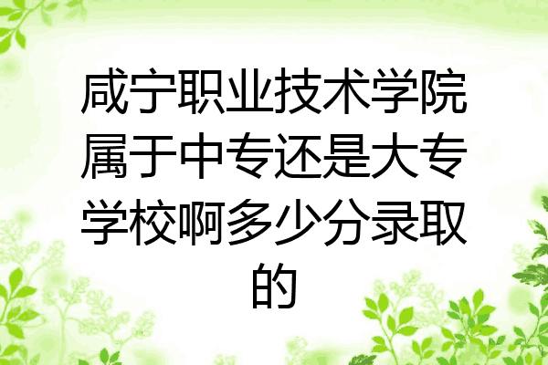 咸宁职业技术学院属于中专还是大专学校啊多少分录取的
