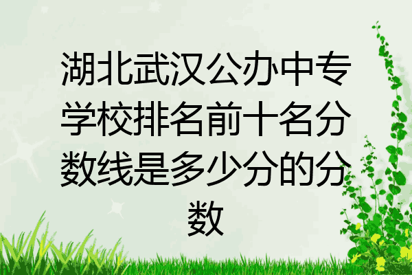 湖北武汉公办中专学校排名前十名分数线是多少分的分数