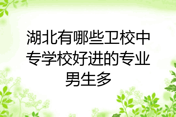 湖北有哪些卫校中专学校好进的专业男生多