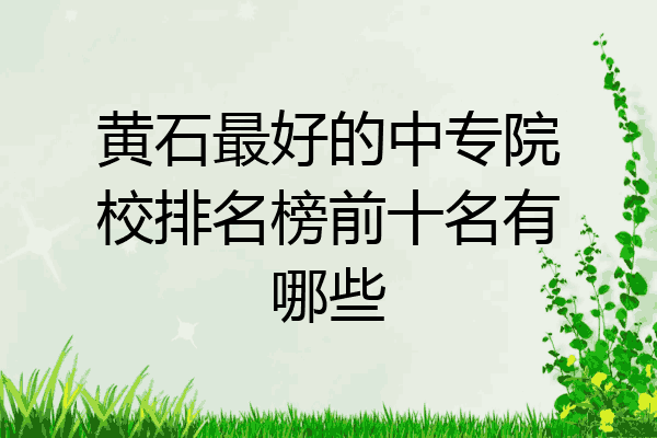 黄石最好的中专院校排名榜前十名有哪些