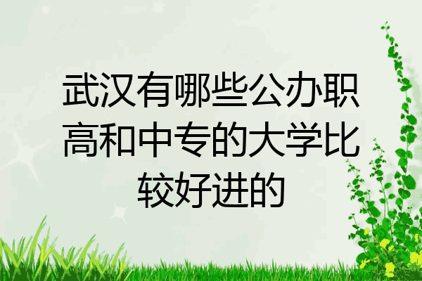 武汉有哪些公办职高和中专的大学比较好进的