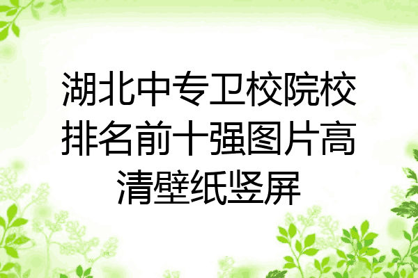 湖北中专卫校院校排名前十强图片高清壁纸竖屏