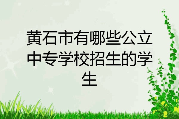 黄石市有哪些公立中专学校招生的学生