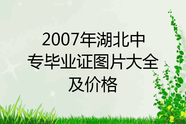 2007年湖北中专毕业证图片大全及价格