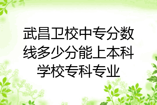 武昌卫校中专分数线多少分能上本科学校专科专业