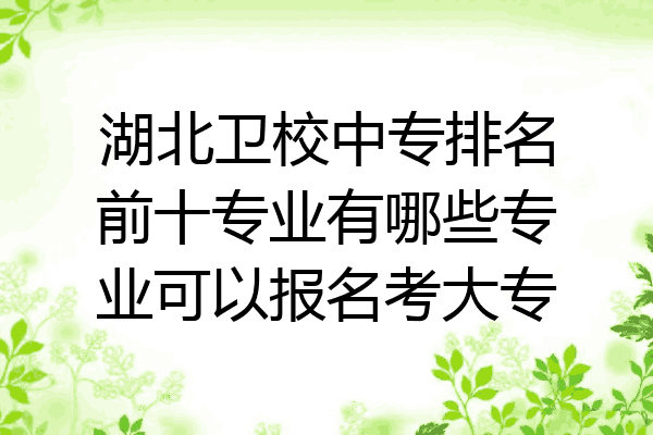 湖北卫校中专排名前十专业有哪些专业可以报名考大专