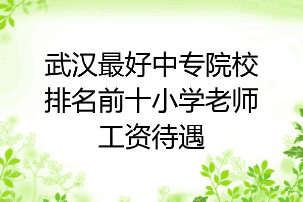 武汉最好中专院校排名前十小学老师工资待遇