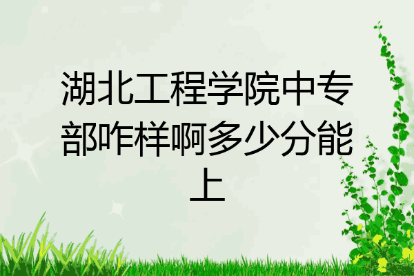 湖北工程学院中专部咋样啊多少分能上