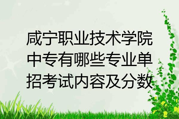 咸宁职业技术学院中专有哪些专业单招考试内容及分数