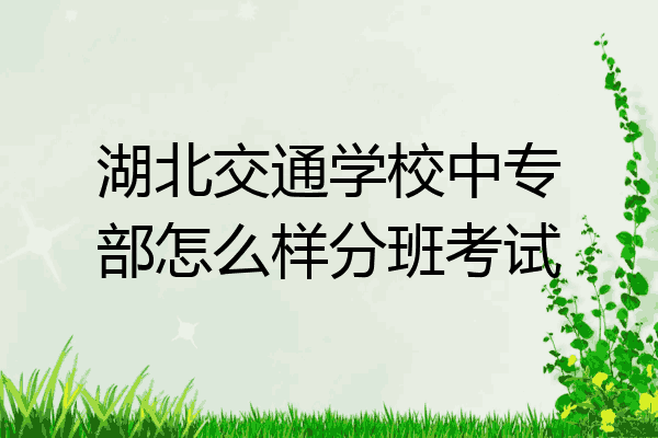 湖北交通学校中专部怎么样分班考试