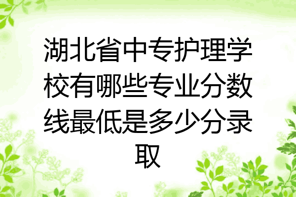 湖北省中专护理学校有哪些专业分数线最低是多少分录取