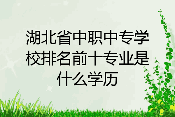 湖北省中职中专学校排名前十专业是什么学历