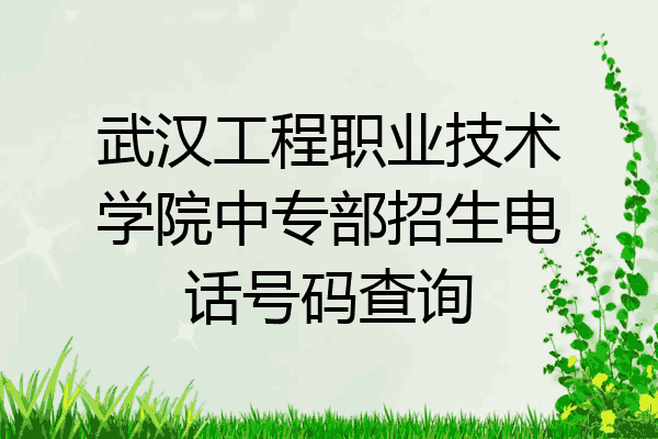 武汉工程职业技术学院中专部招生电话号码查询