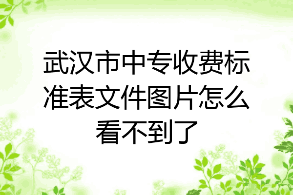 武汉市中专收费标准表文件图片怎么看不到了