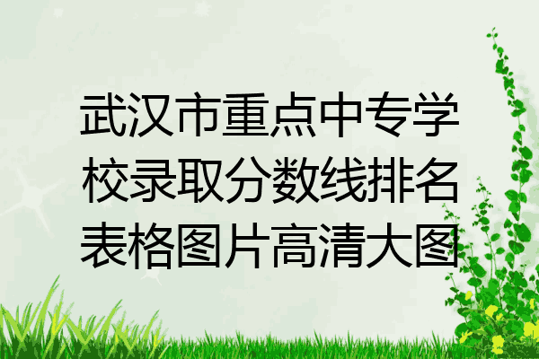 武汉市重点中专学校录取分数线排名表格图片高清大图