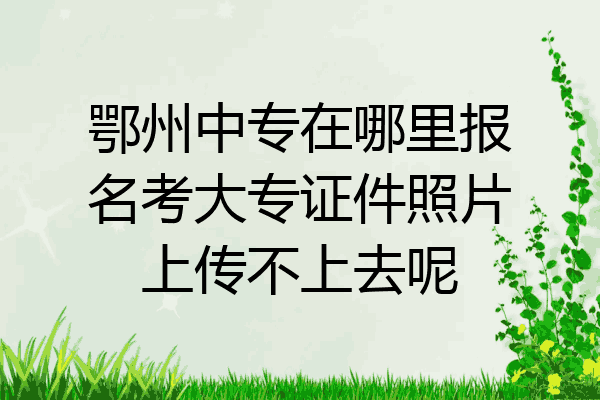鄂州中专在哪里报名考大专证件照片上传不上去呢