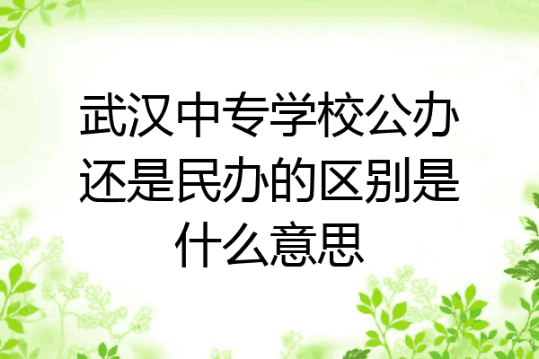 武汉中专学校公办还是民办的区别是什么意思