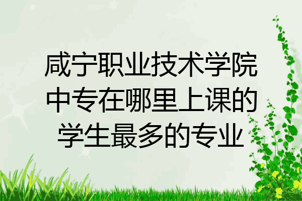 咸宁职业技术学院中专在哪里上课的学生最多的专业