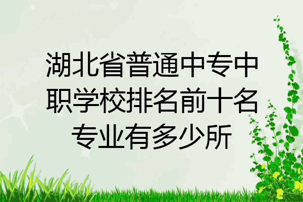 湖北省普通中专中职学校排名前十名专业有多少所