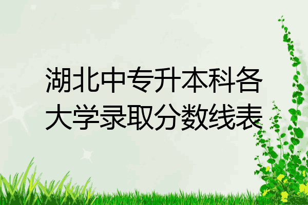 湖北中专升本科各大学录取分数线表