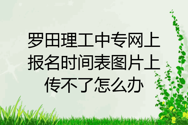 罗田理工中专网上报名时间表图片上传不了怎么办