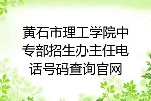 黄石市理工学院中专部招生办主任电话号码查询官网