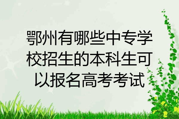 鄂州有哪些中专学校招生的本科生可以报名高考考试