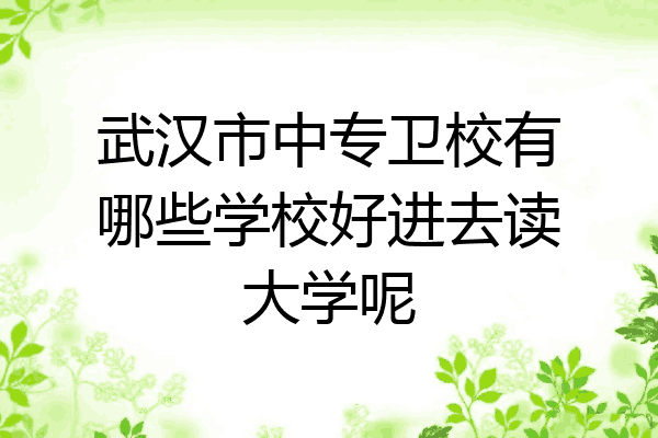 武汉市中专卫校有哪些学校好进去读大学呢