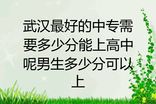 武汉最好的中专需要多少分能上高中呢男生多少分可以上