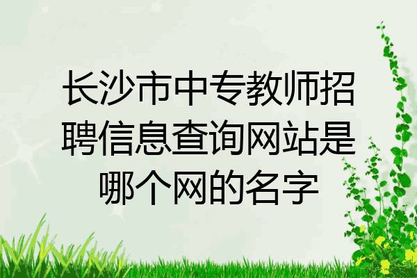 长沙市中专教师招聘信息查询网站是哪个网的名字