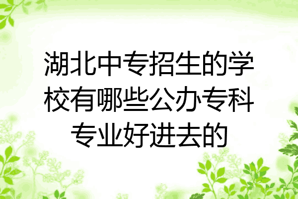 湖北中专招生的学校有哪些公办专科专业好进去的