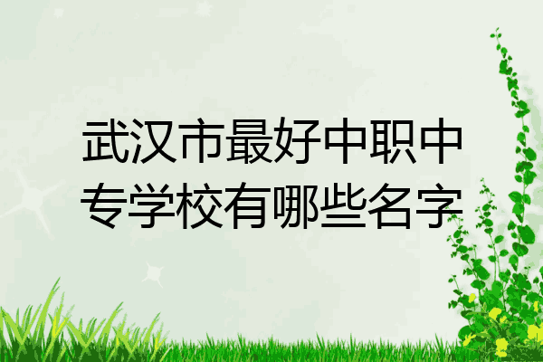 武汉市最好中职中专学校有哪些名字