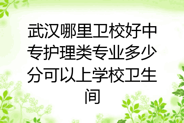 武汉哪里卫校好中专护理类专业多少分可以上学校卫生间