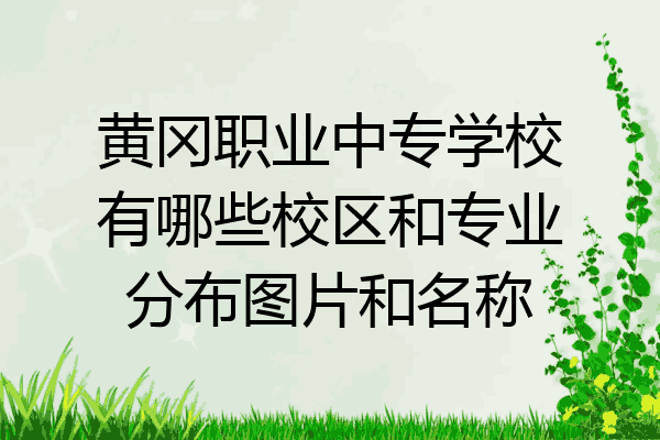 黄冈职业中专学校有哪些校区和专业分布图片和名称