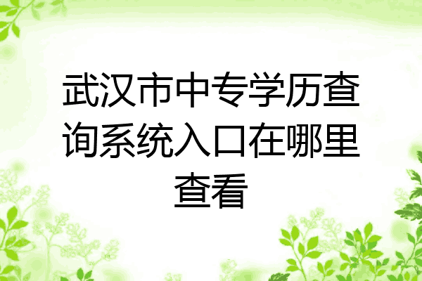 武汉市中专学历查询系统入口在哪里查看